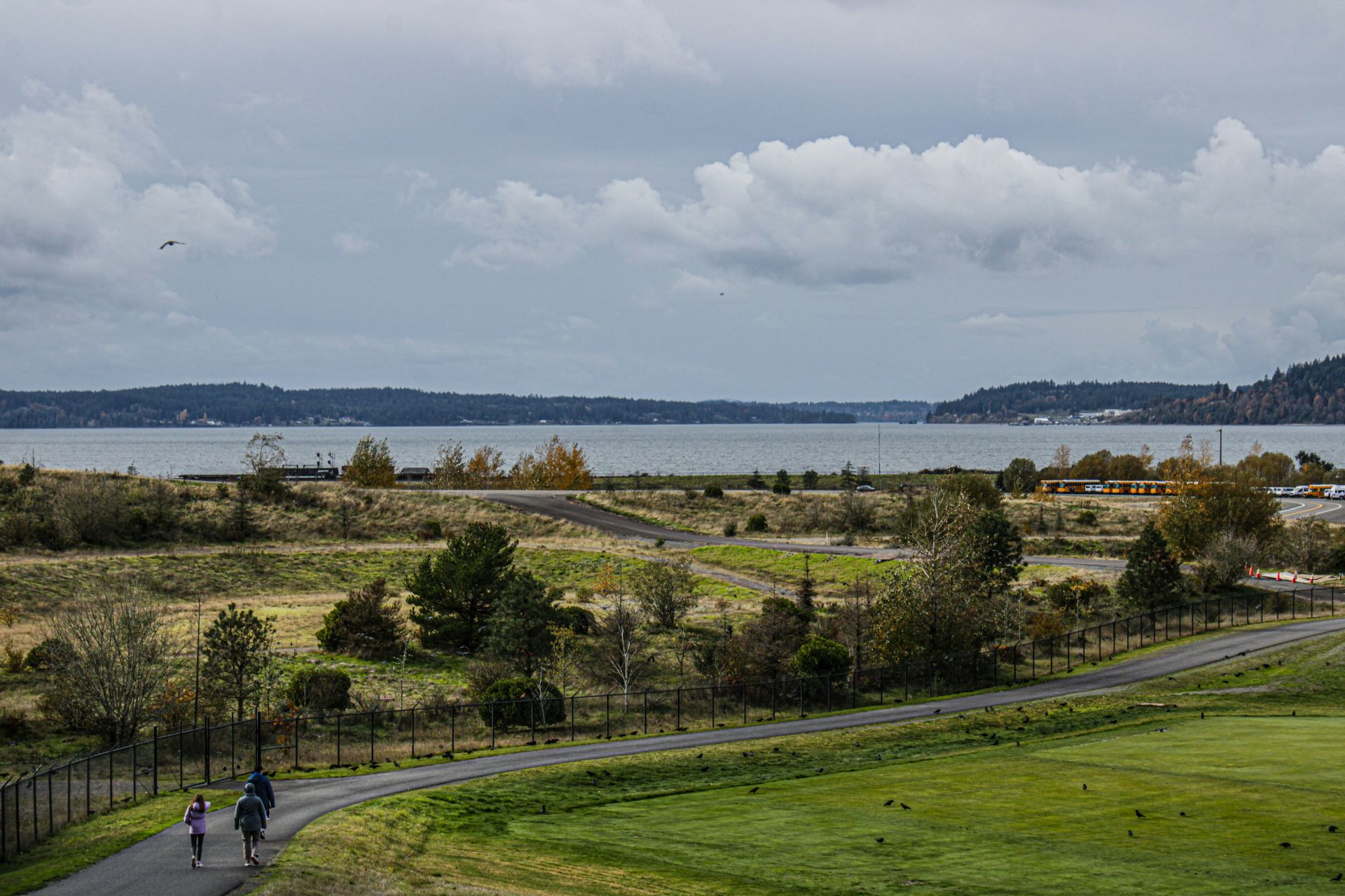 Mobile Auto Glass Repair in University Place